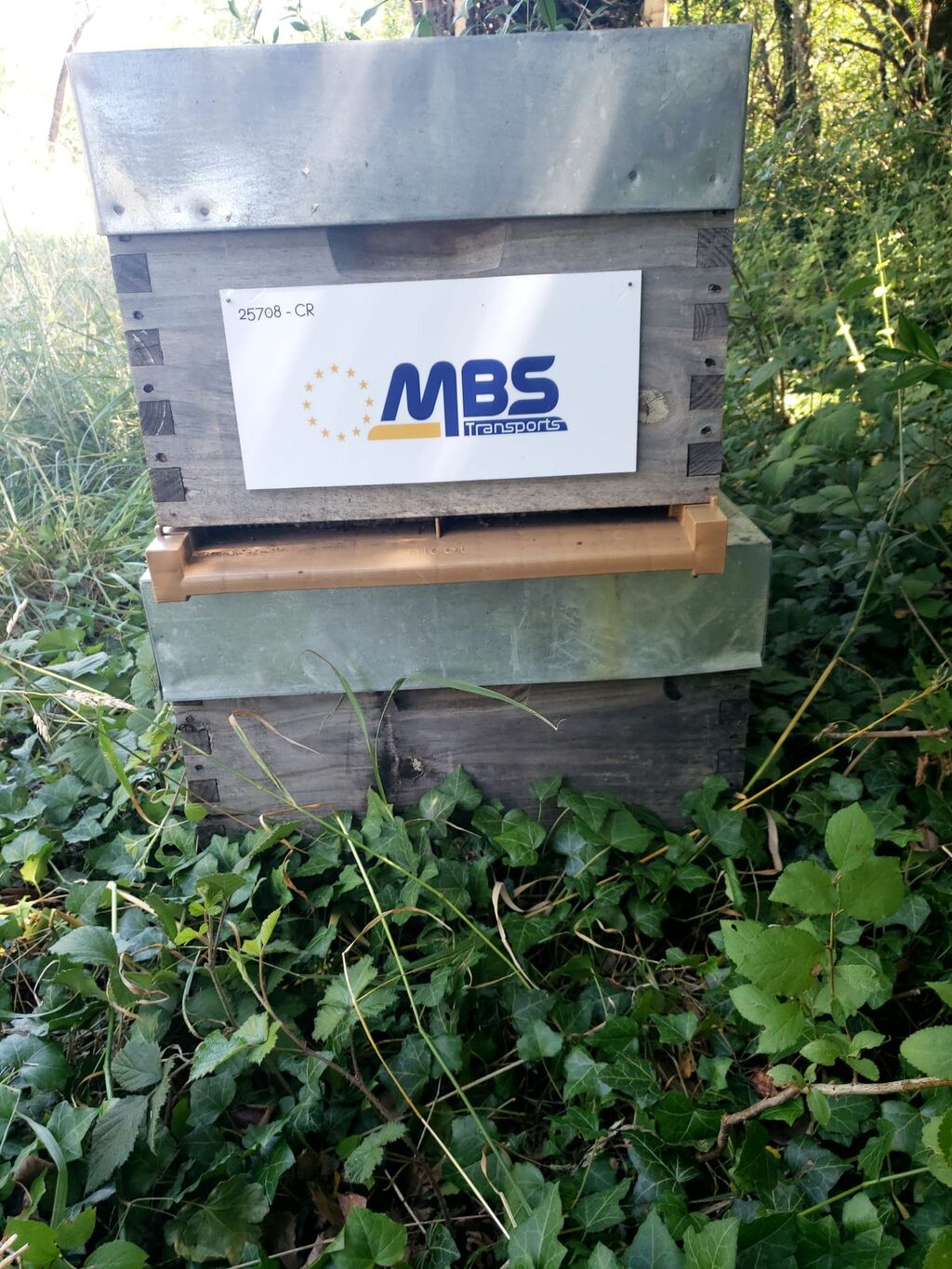 La ruche MONNIER BORSU SOTRADEL
