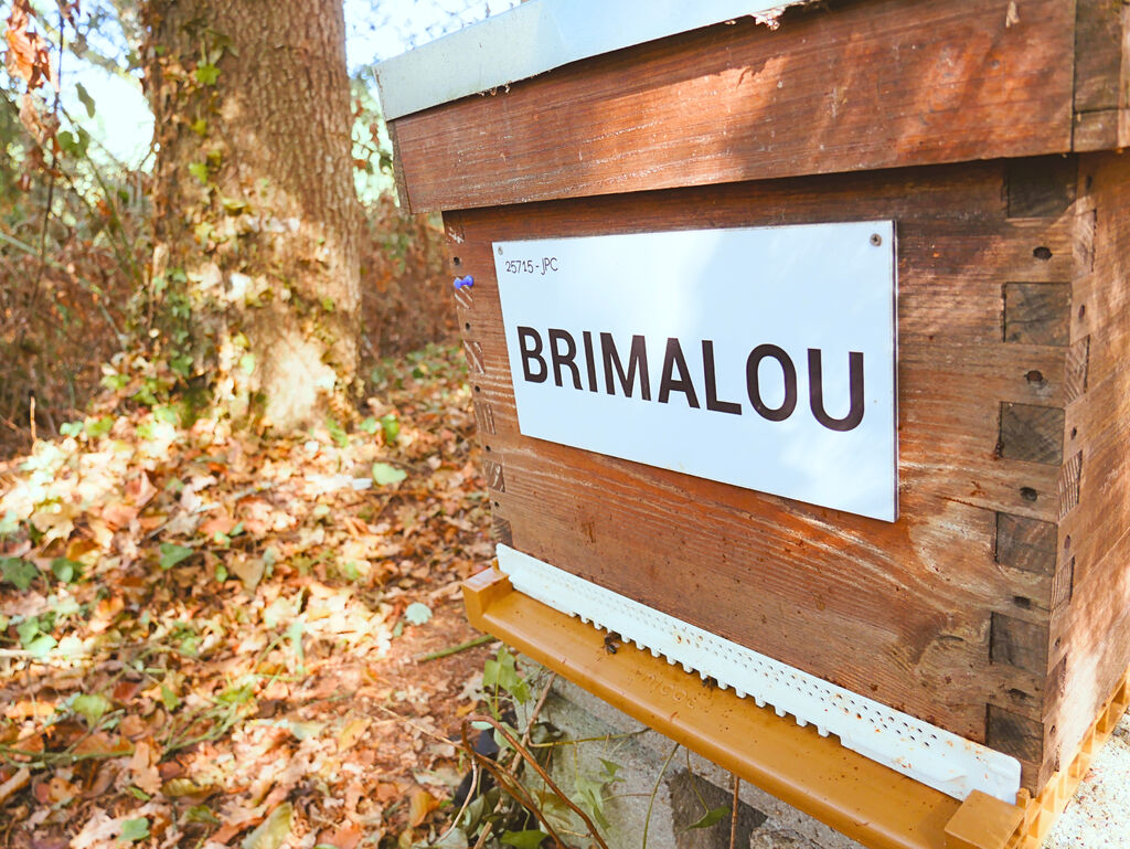 La ruche BRIMALOU