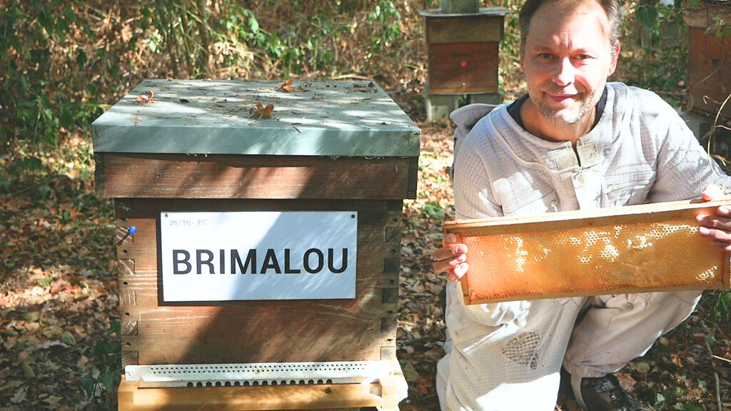 La ruche BRIMALOU
