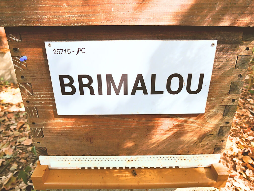 La ruche BRIMALOU