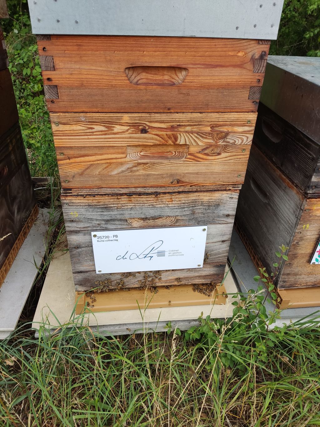 La ruche Cabinet de stoop