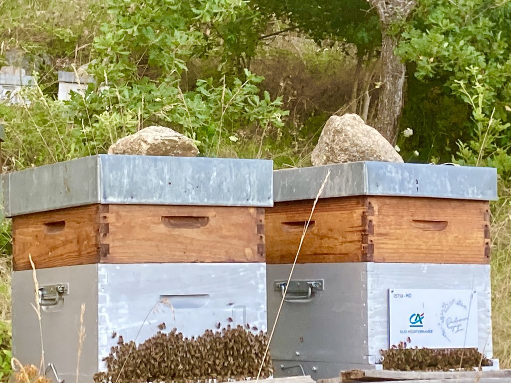 La ruche CREDIT AGRICOLE SUD MEDITERRANEE 