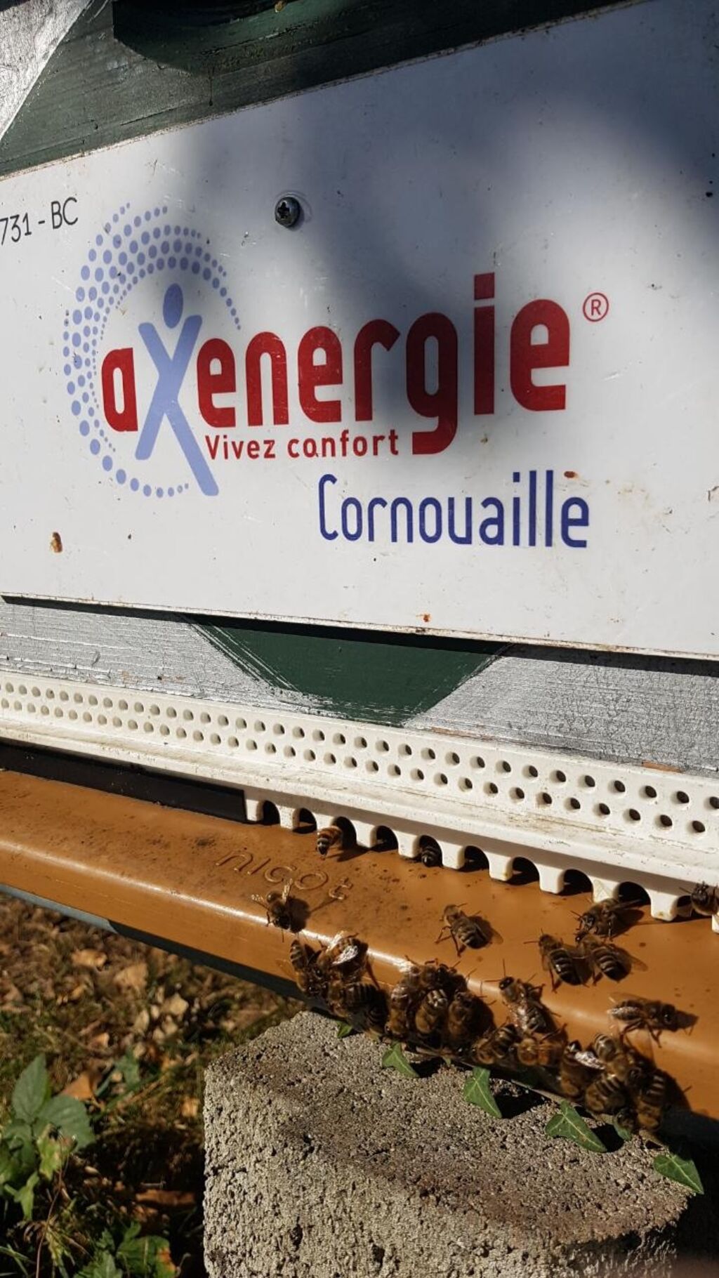La ruche Axenergie cornouaille quimper gaz