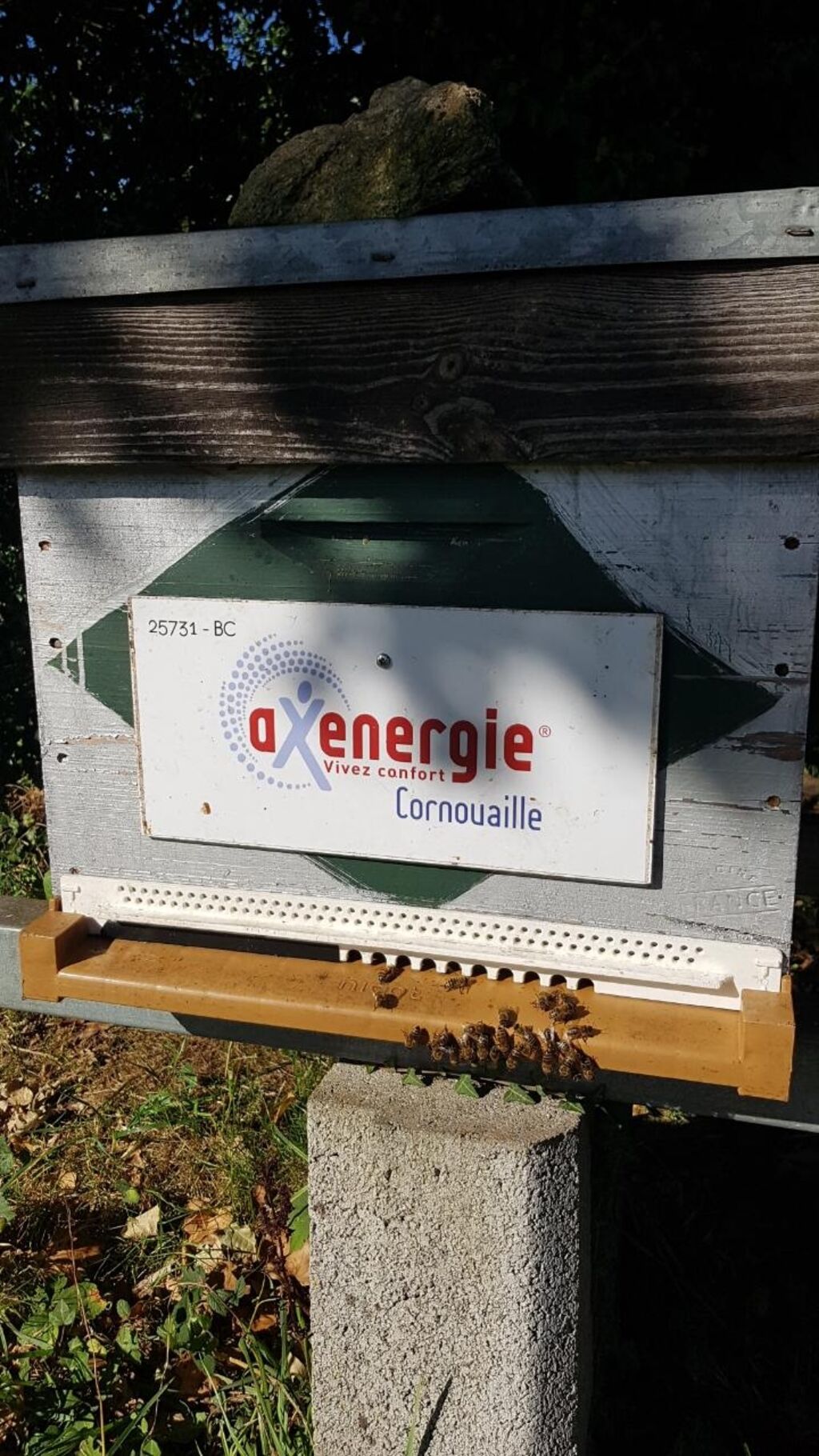 La ruche Axenergie cornouaille quimper gaz