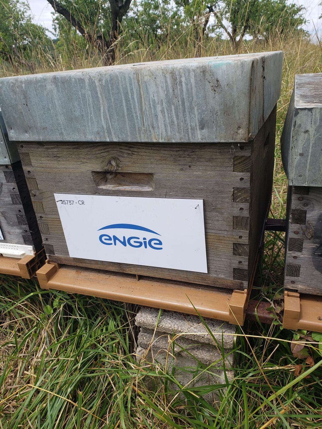 La ruche ENGIE - MPPA