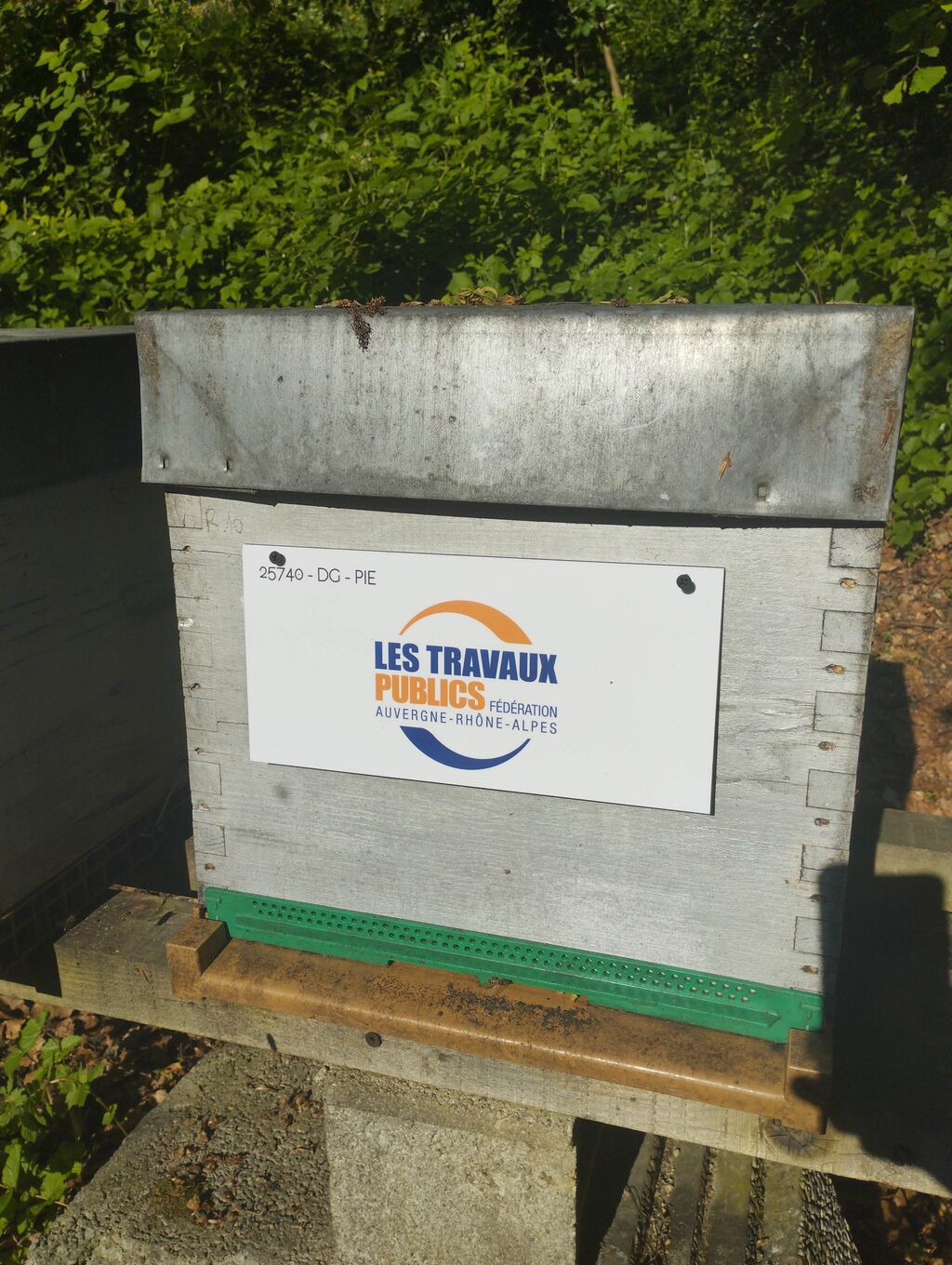 La ruche Frtp auvergne rhône alpes