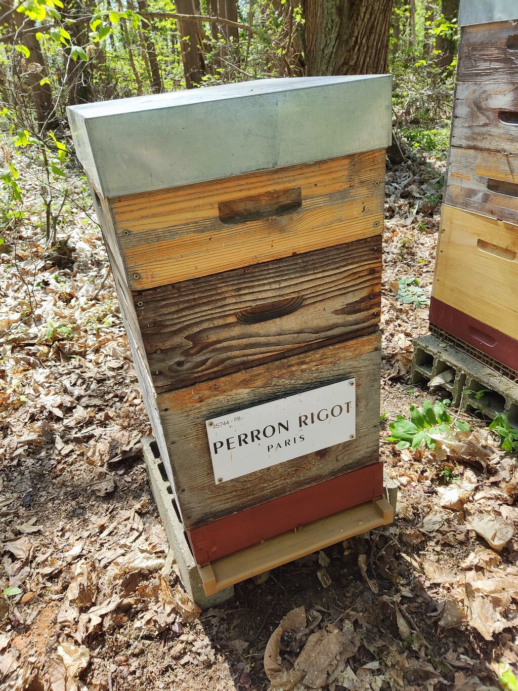 La ruche Perron rigot