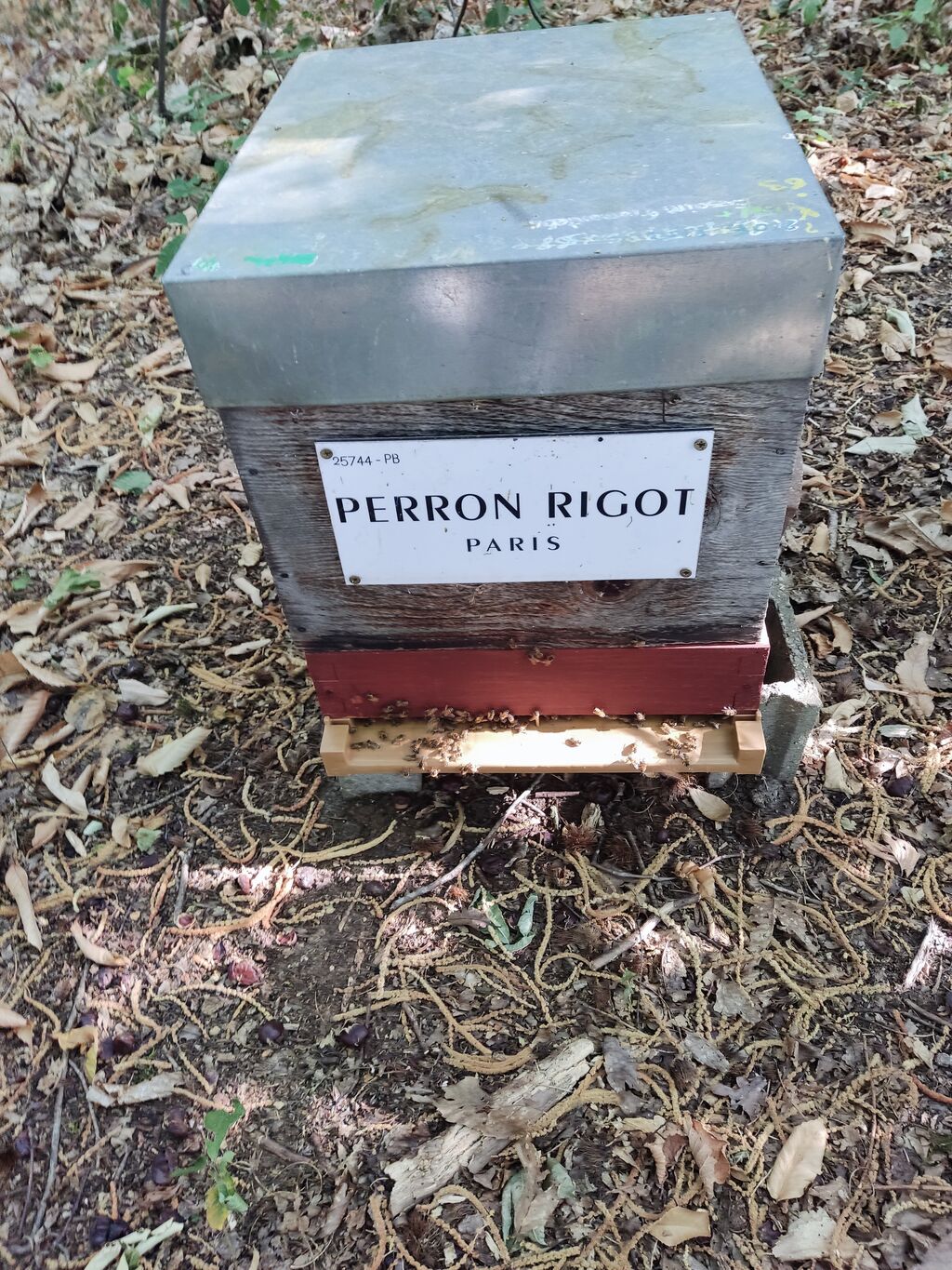 La ruche Perron rigot