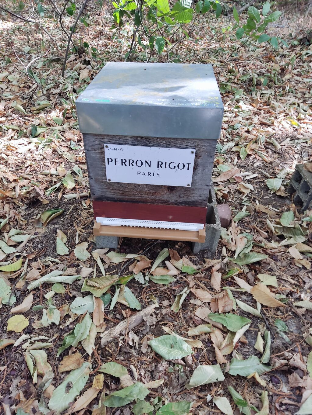La ruche Perron rigot
