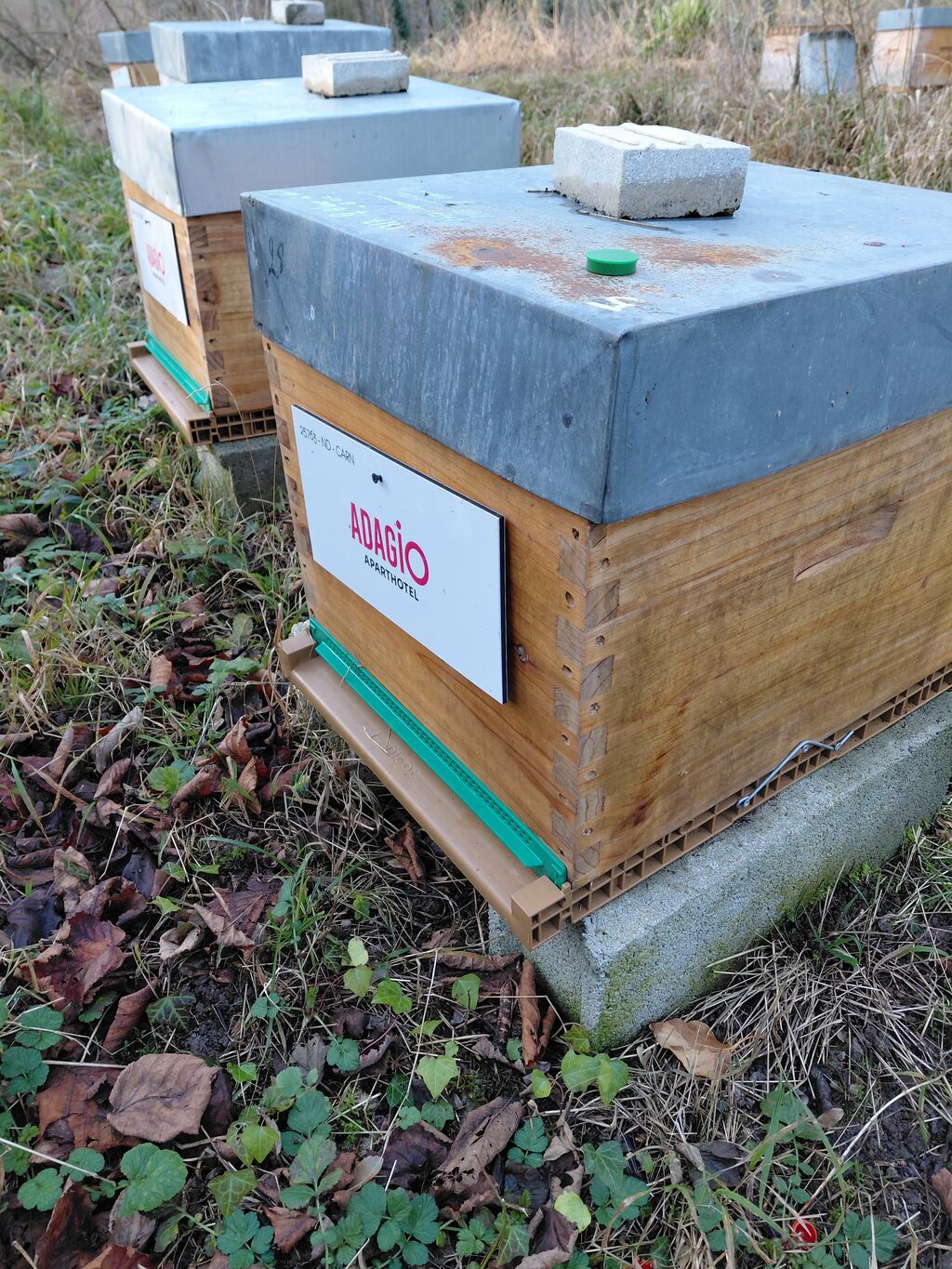 La ruche Adagio Access Paris La Villette