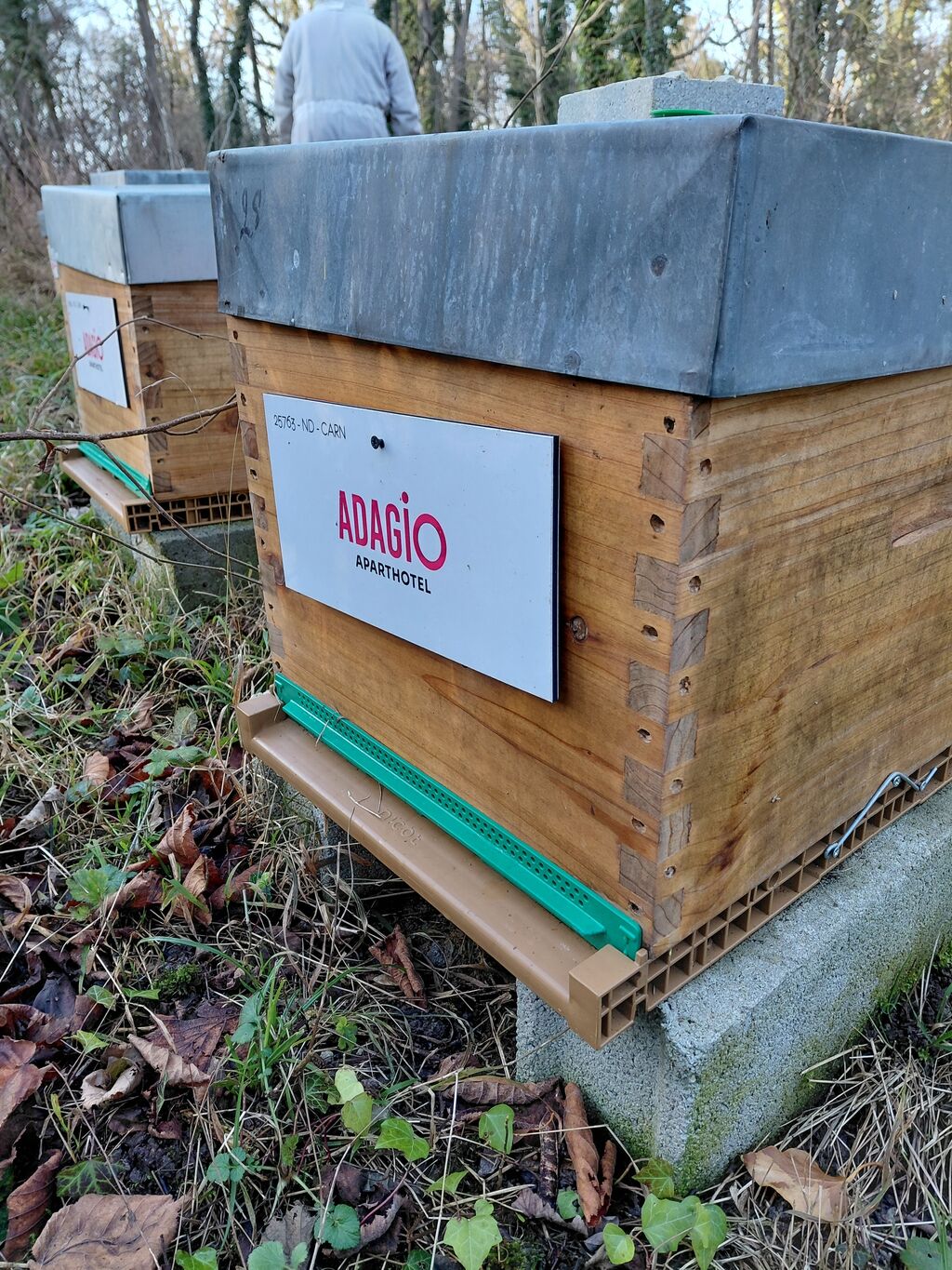 La ruche Adagio Access Paris La Villette