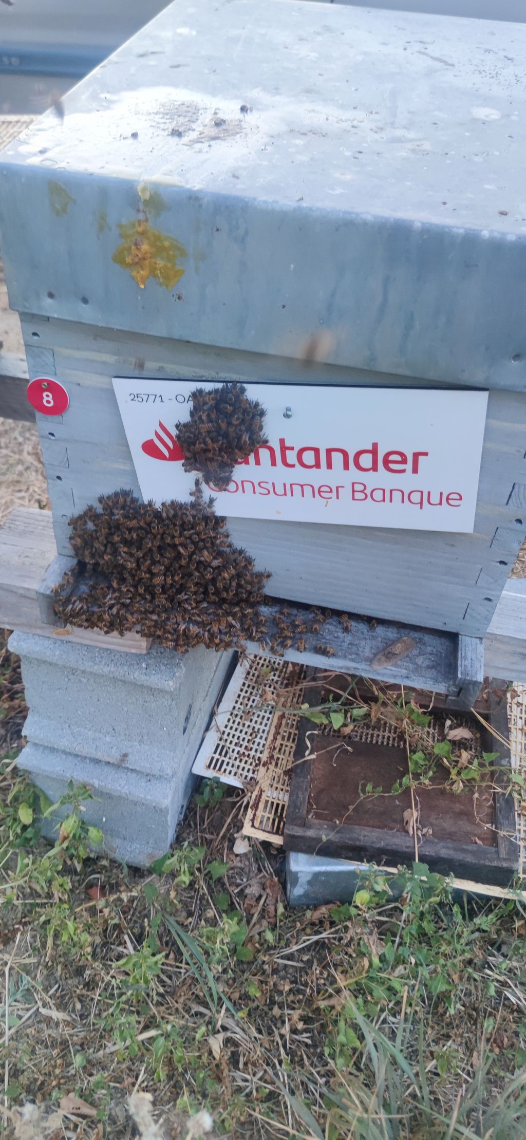 La ruche Santander Consumer Banque
