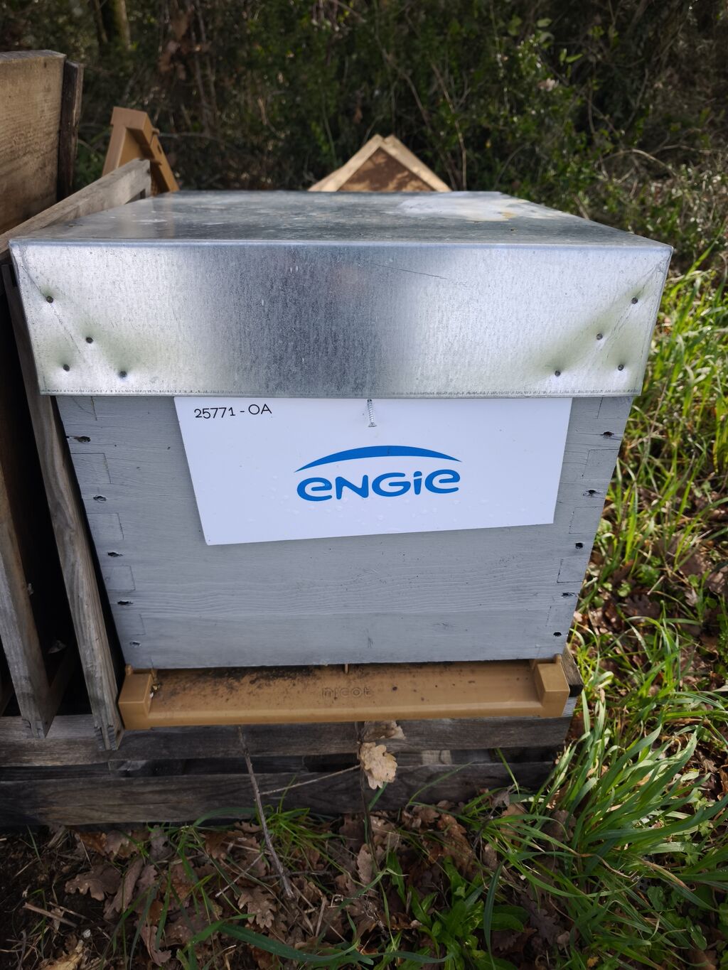 La ruche ENGIE - MPPA