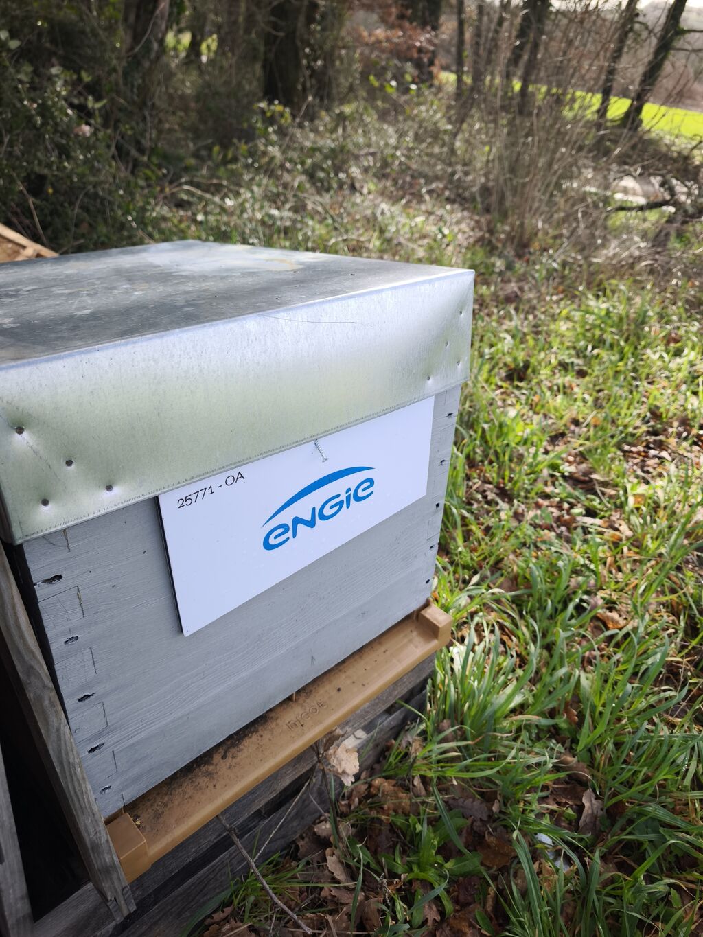 La ruche ENGIE - MPPA