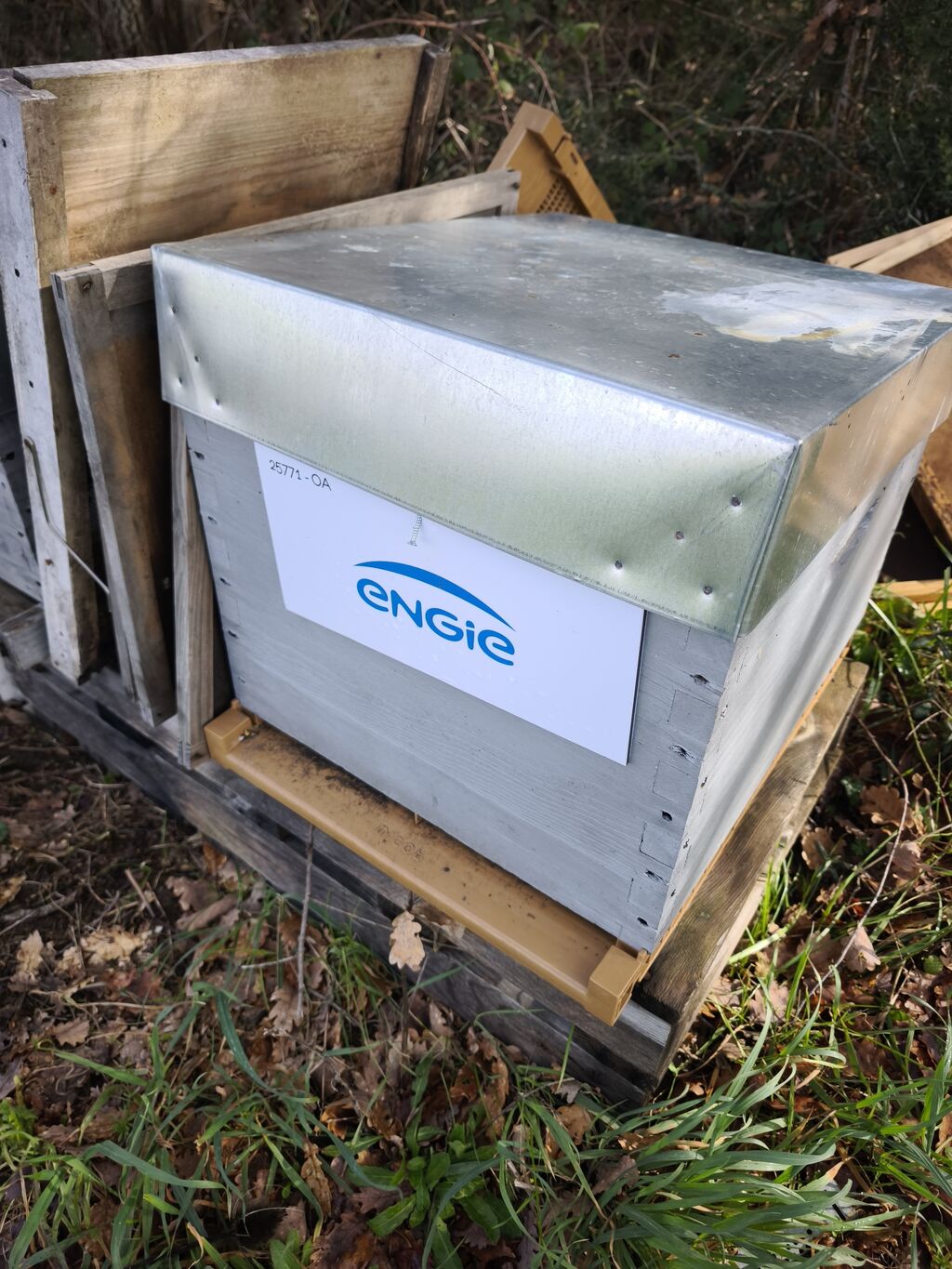 La ruche ENGIE - MPPA