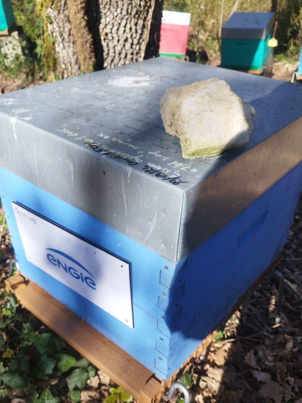 La ruche ENGIE - MPPA