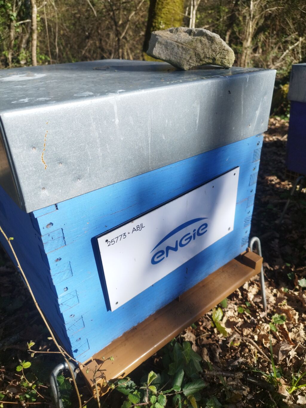 La ruche ENGIE - MPPA