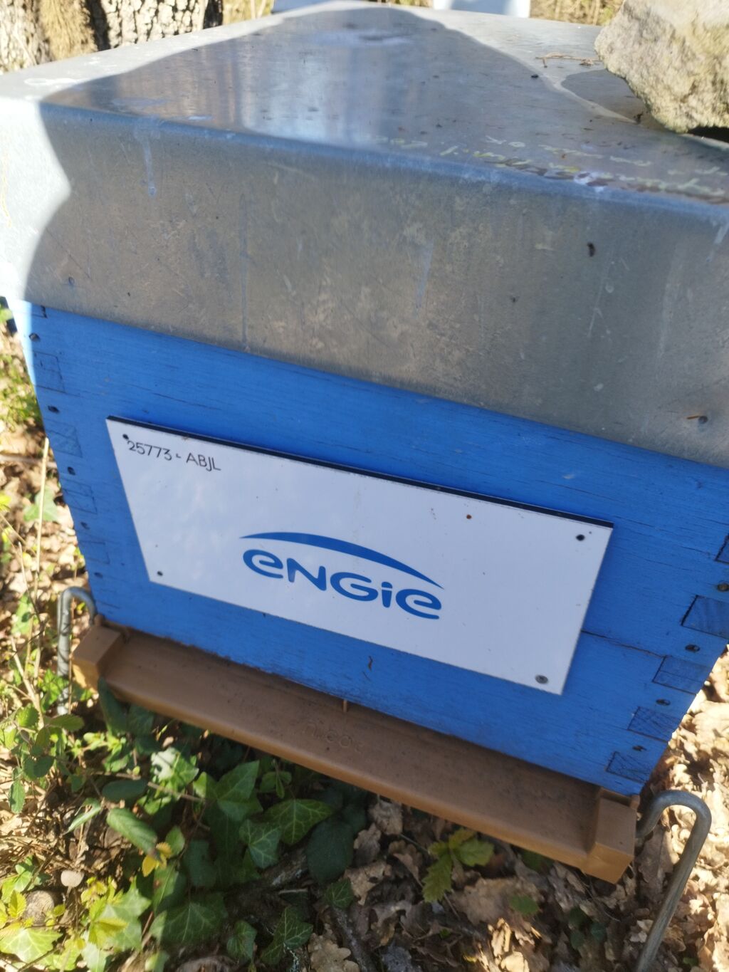 La ruche ENGIE - MPPA