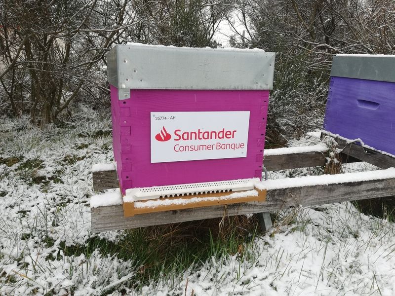 La ruche Santander Consumer Banque