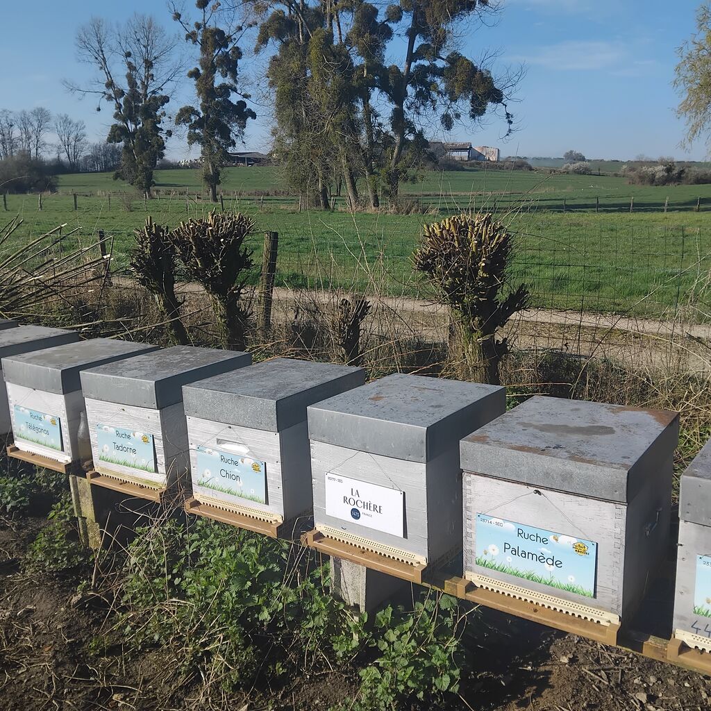 La ruche LA ROCHERE