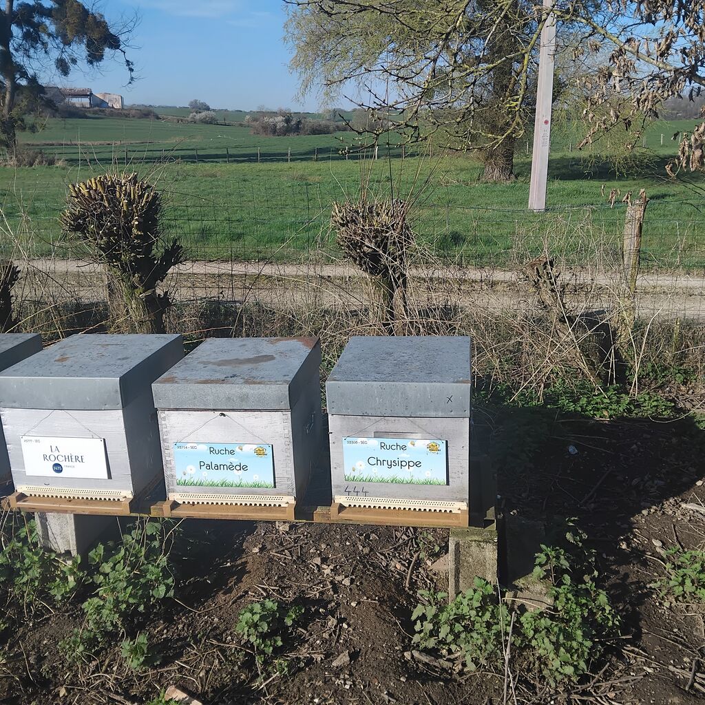 La ruche LA ROCHERE