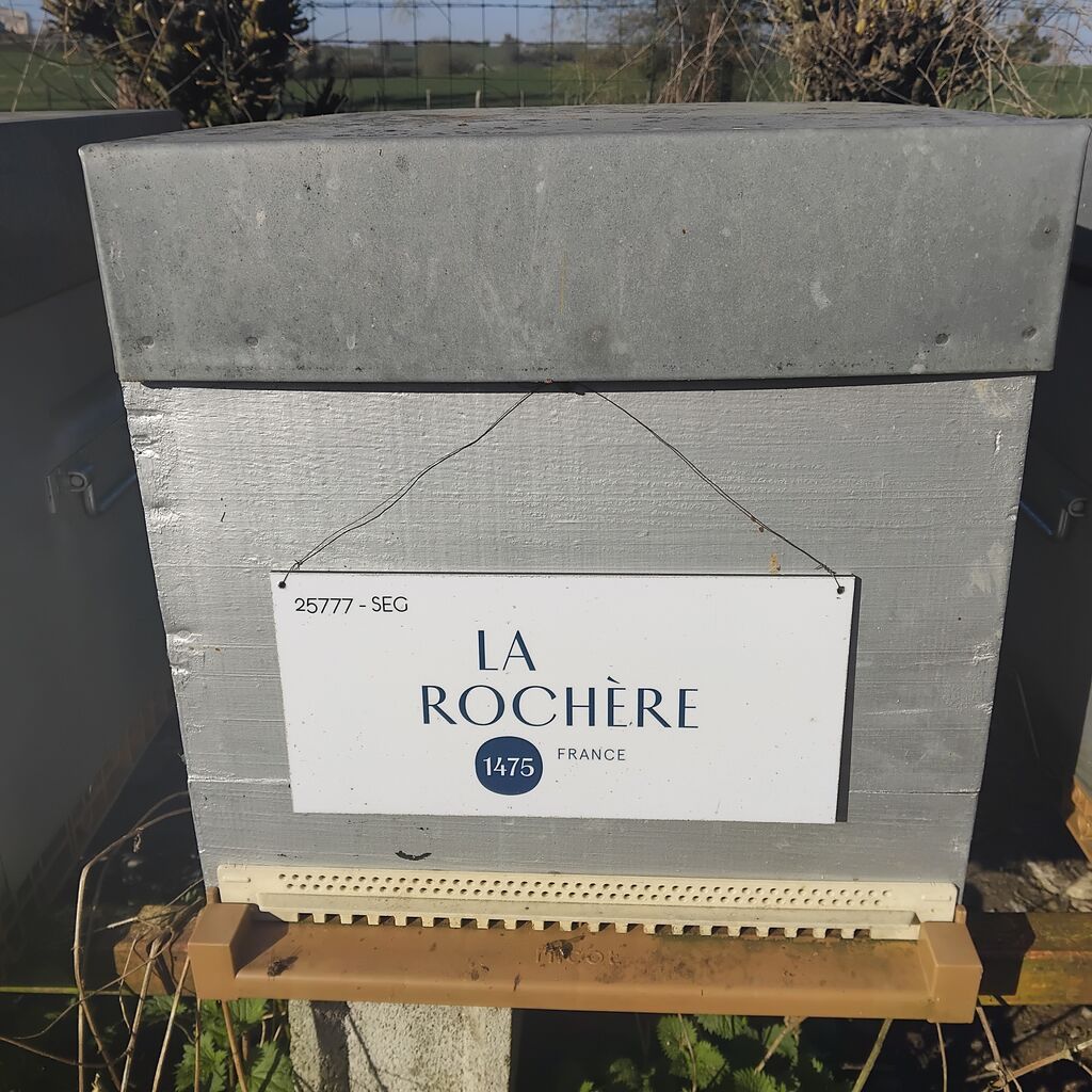 La ruche LA ROCHERE