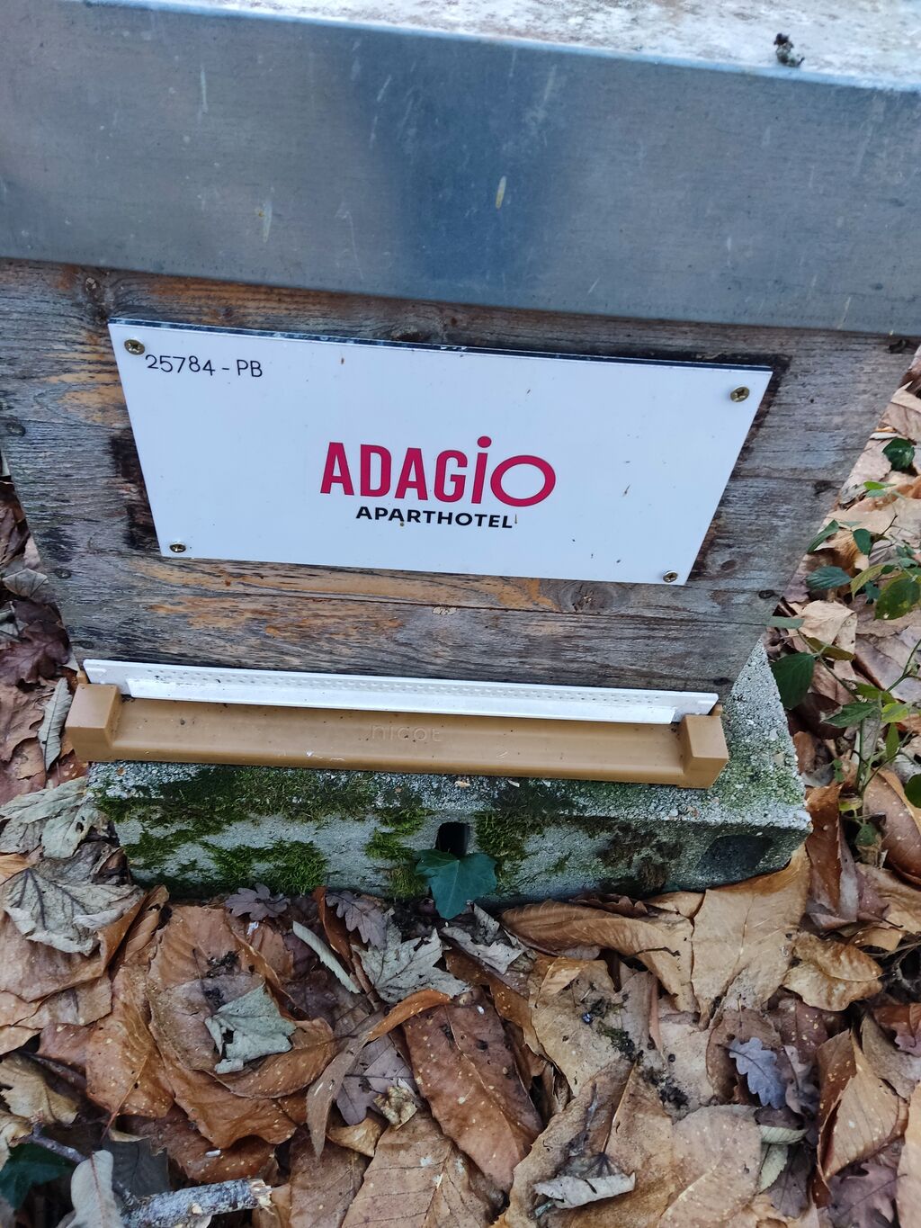 La ruche Adagio Paris Montrouge