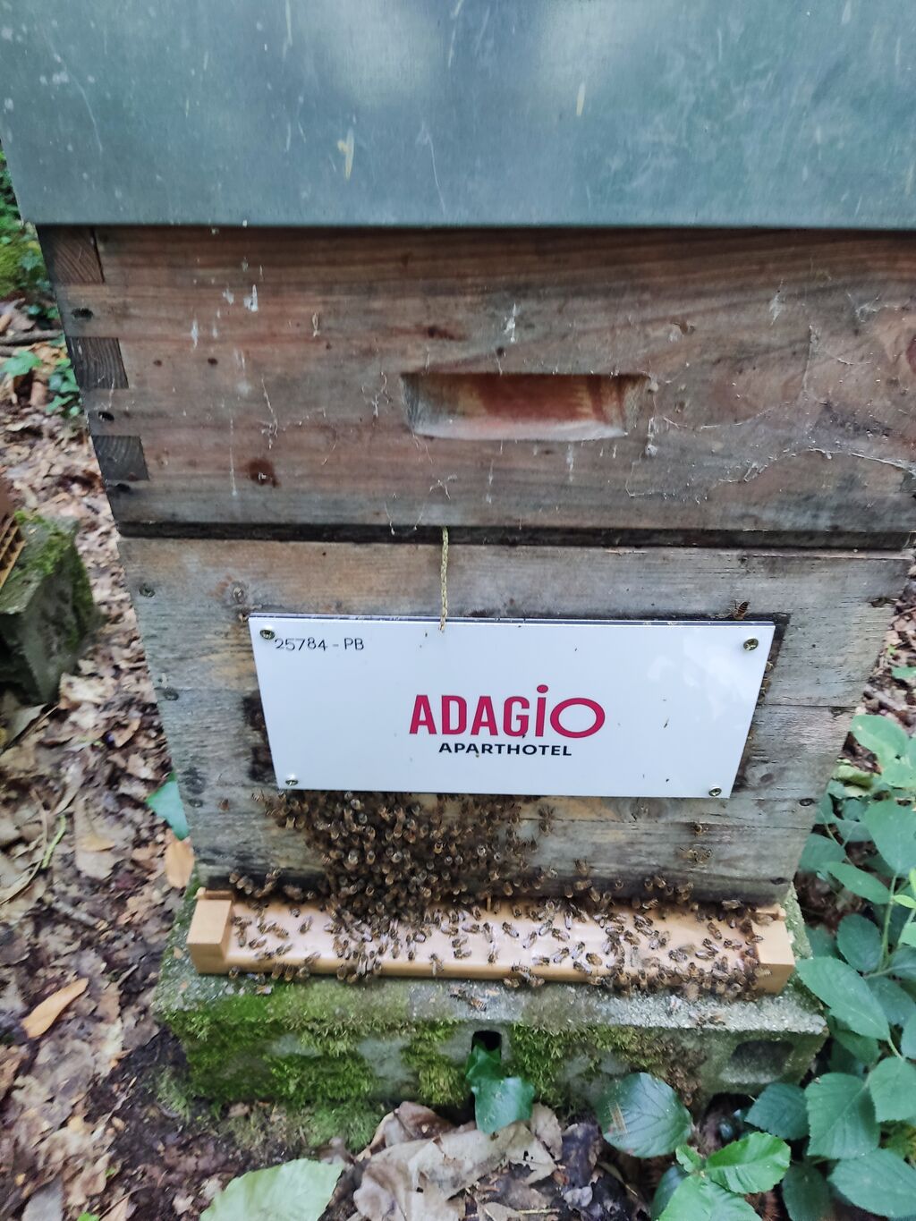 La ruche Adagio Paris Montrouge