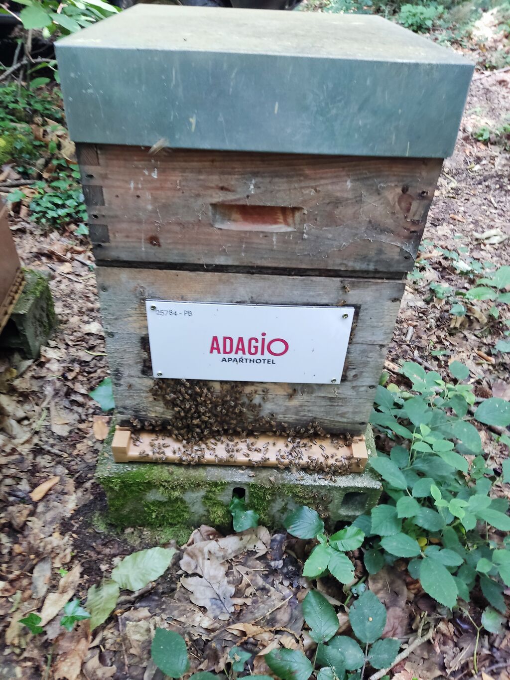 La ruche Adagio Paris Montrouge