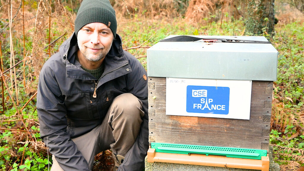 La ruche CSE SAP France