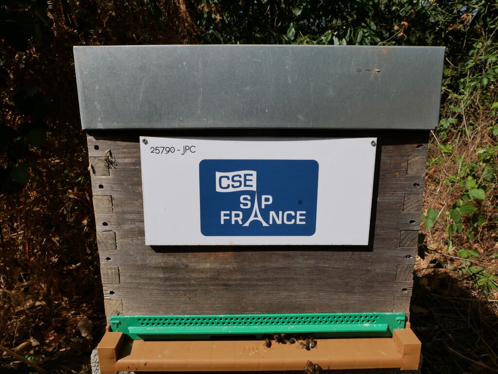 La ruche CSE SAP France