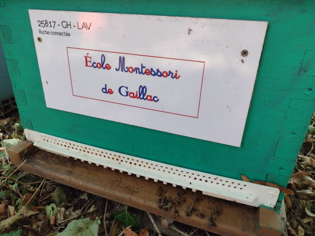 La ruche École Montessori de Gaillac 