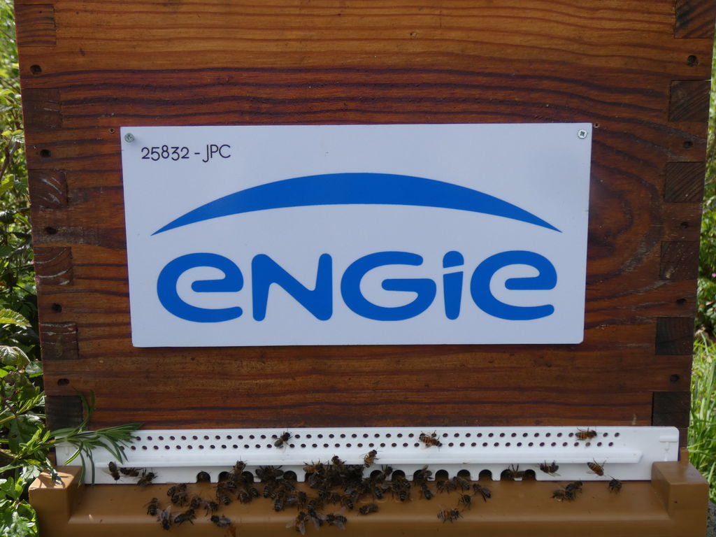 La ruche ENGIE