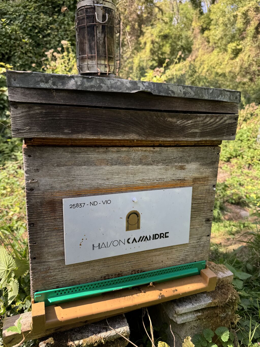 La ruche MAISON CASSANDRE