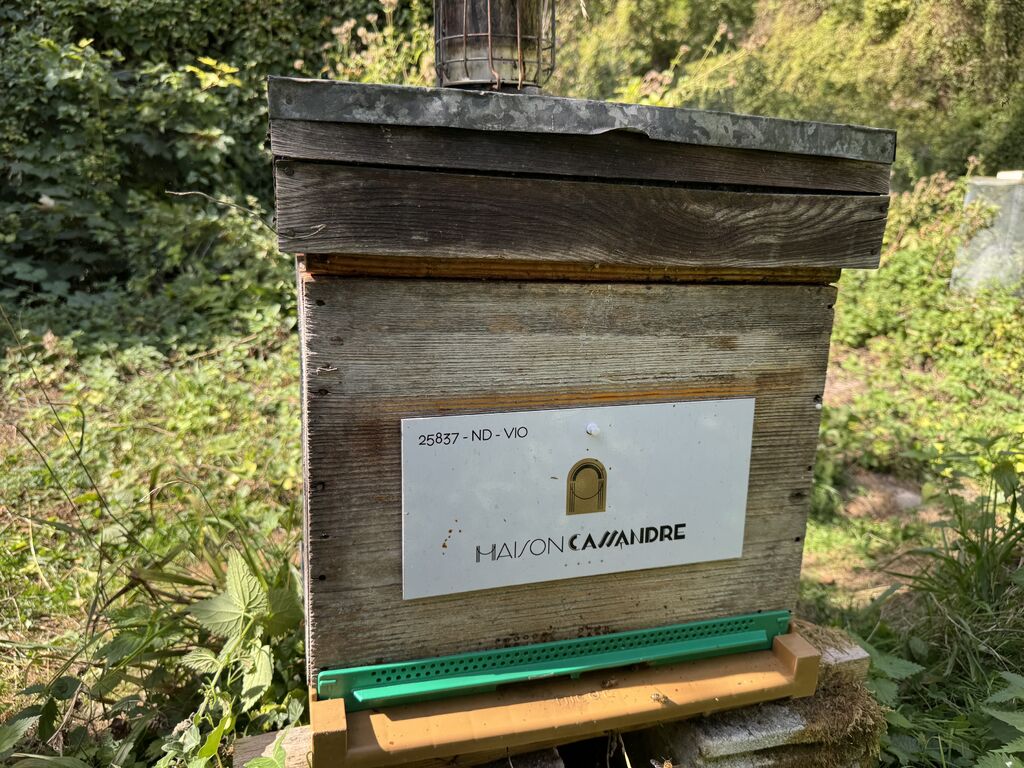 La ruche MAISON CASSANDRE