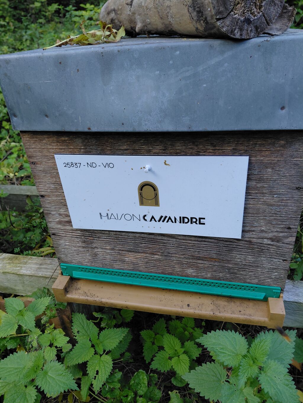 La ruche MAISON CASSANDRE