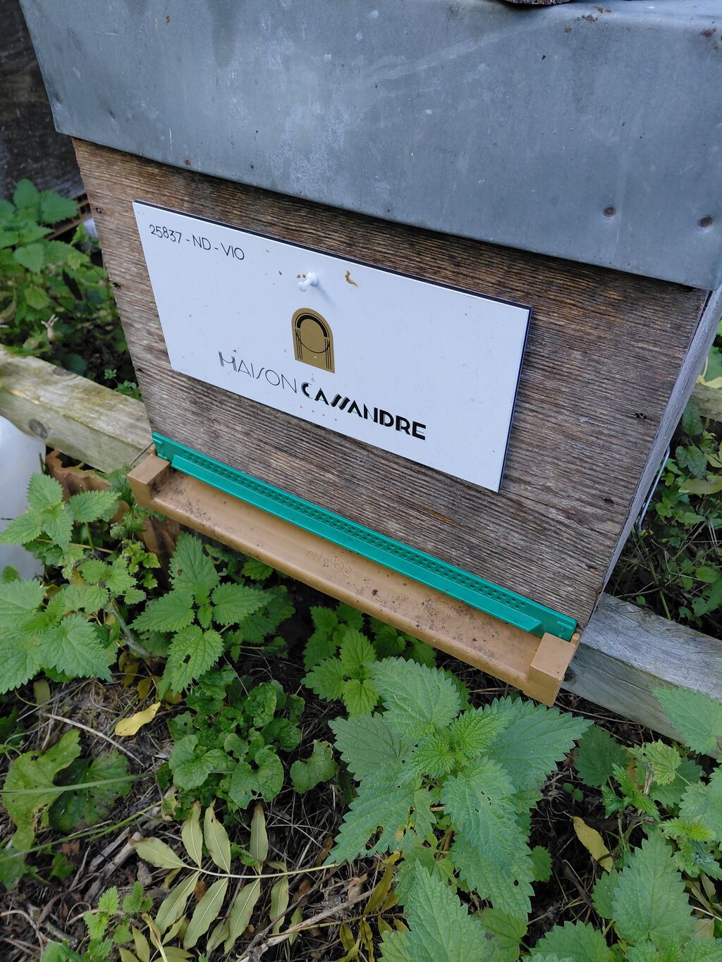 La ruche MAISON CASSANDRE