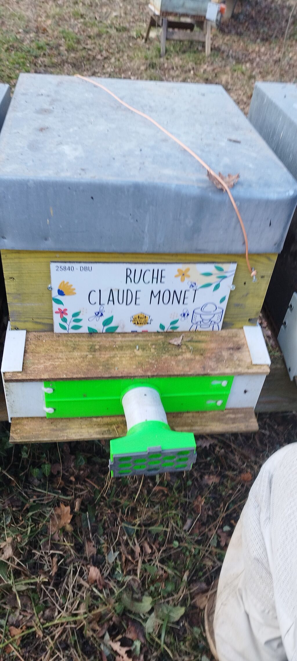 La ruche Claude Monet