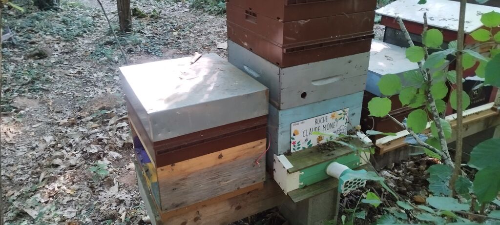 La ruche Claude Monet