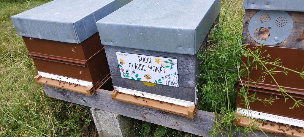 La ruche Claude Monet