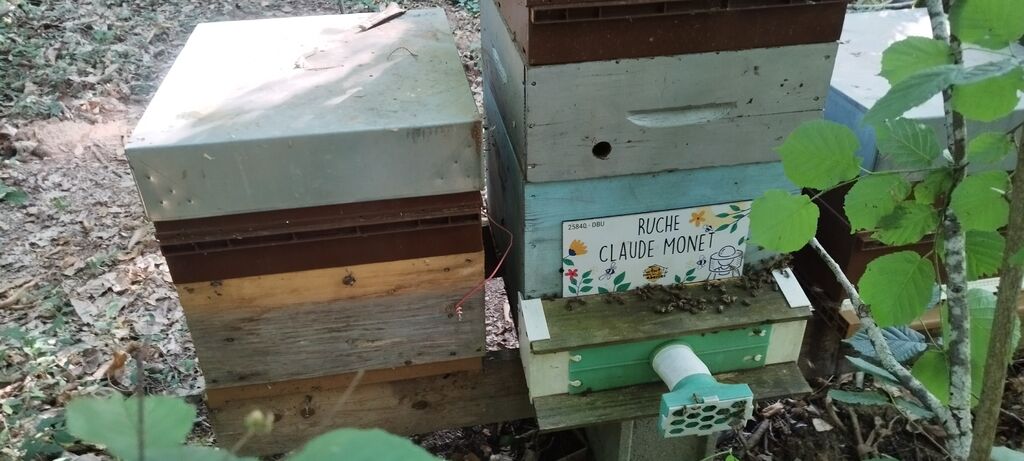La ruche Claude Monet