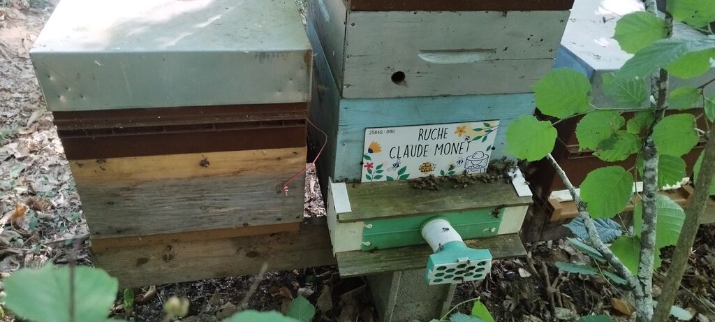 La ruche Claude Monet