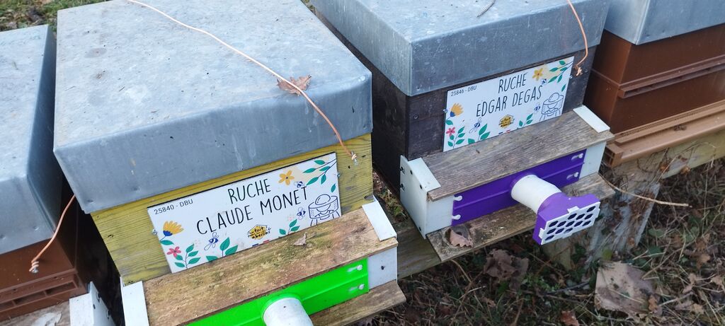 La ruche Claude Monet