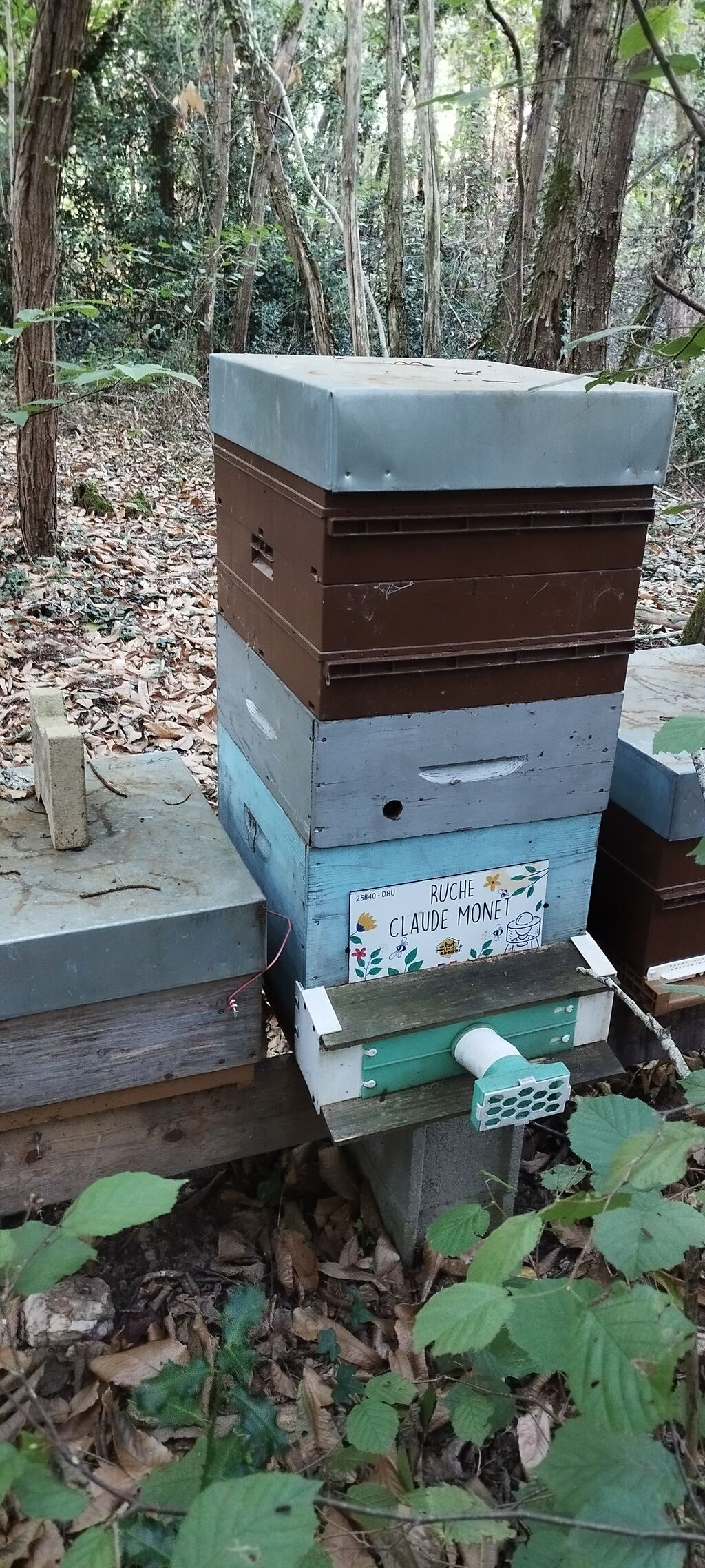 La ruche Claude Monet