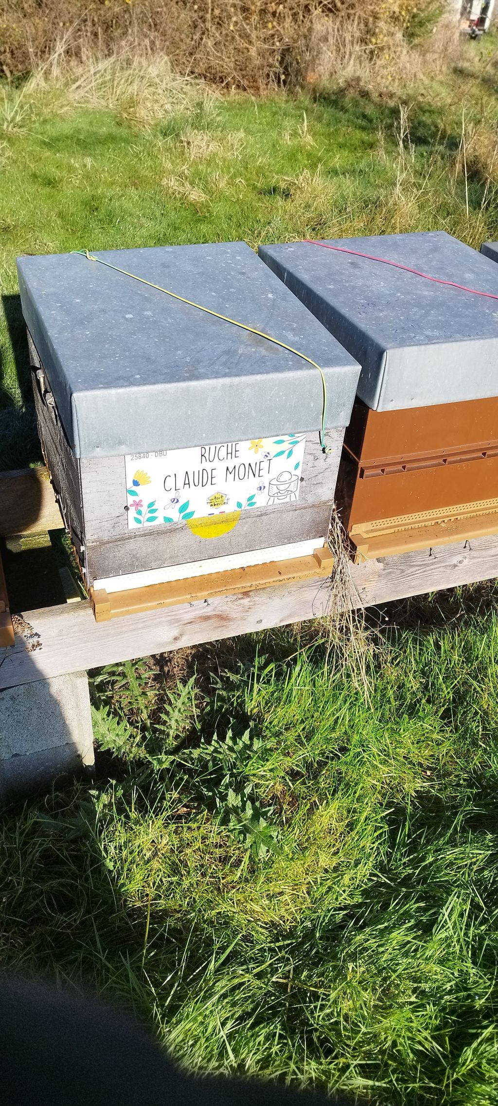 La ruche Claude Monet