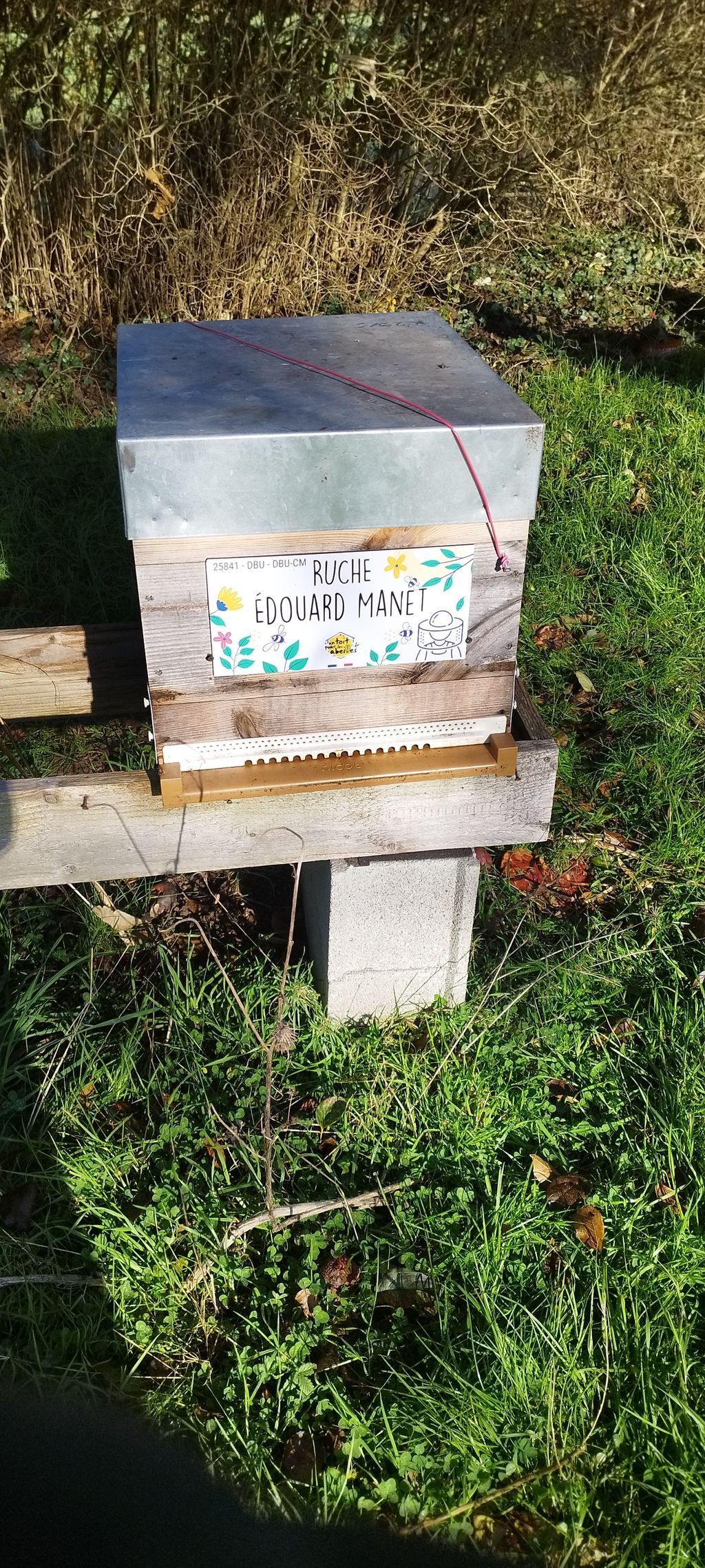 La ruche Édouard Manet