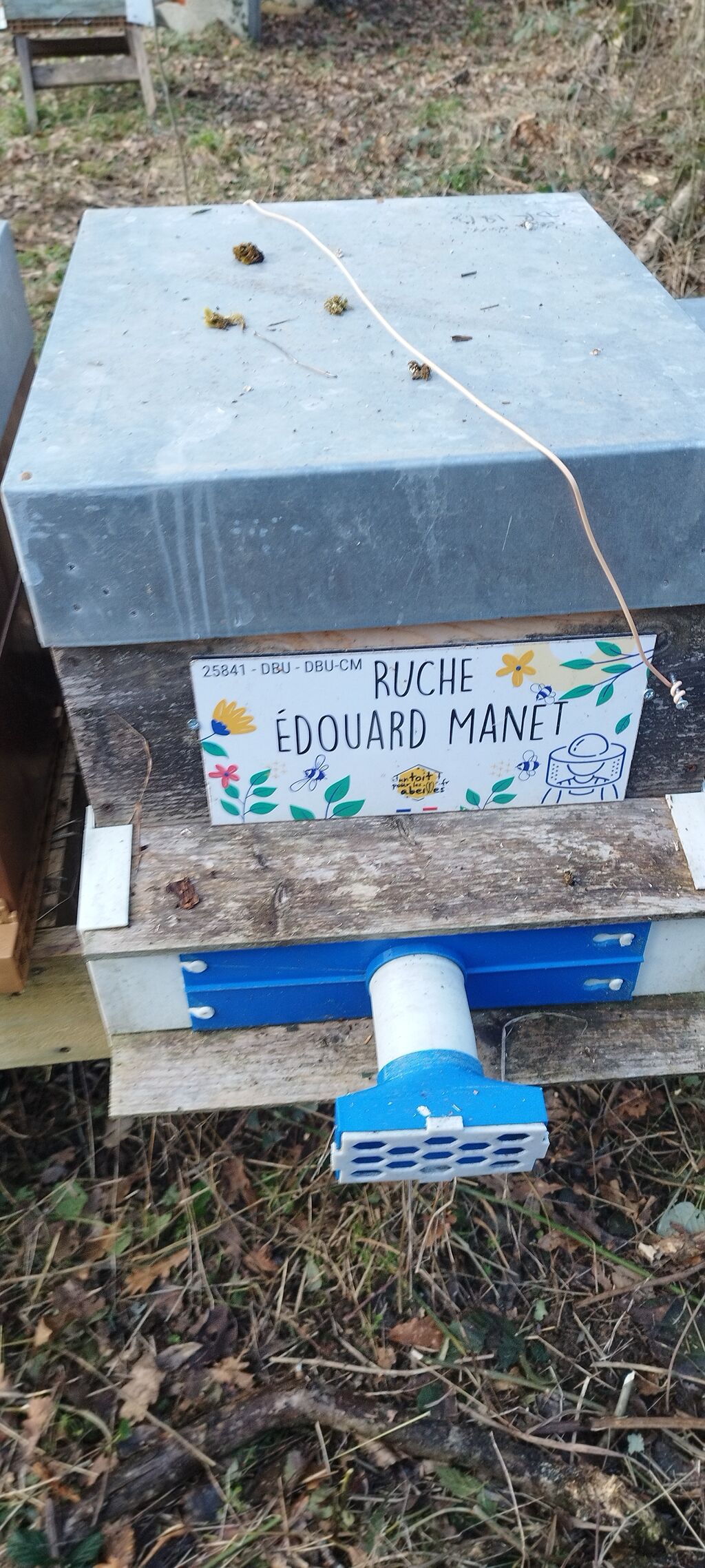 La ruche Édouard Manet