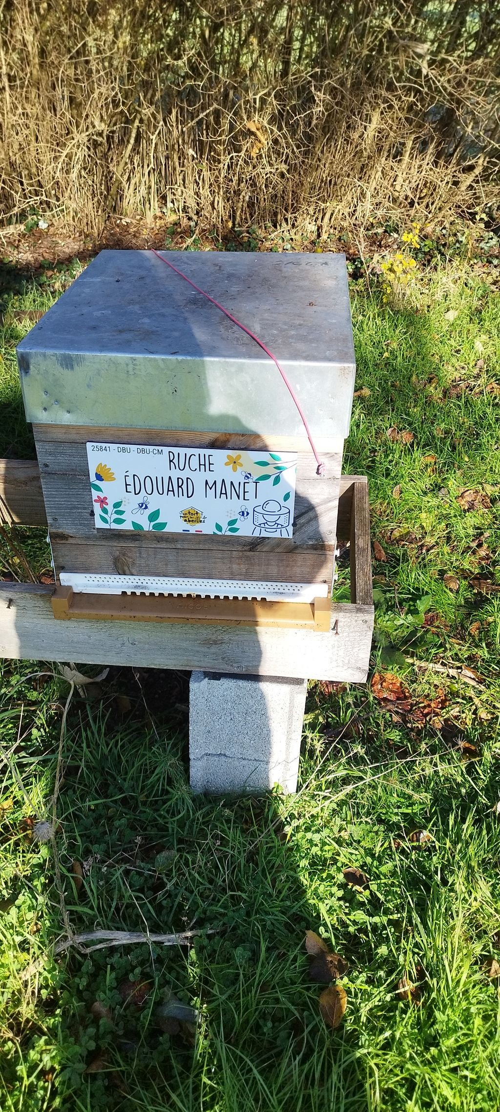 La ruche Édouard Manet