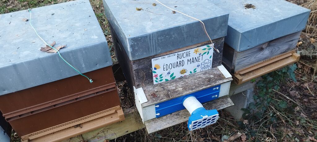 La ruche Édouard Manet