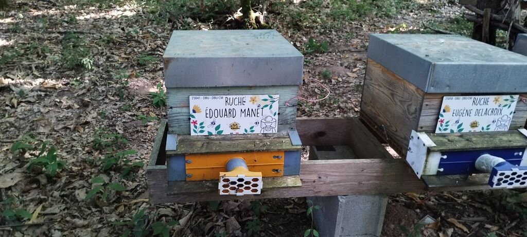 La ruche Édouard Manet